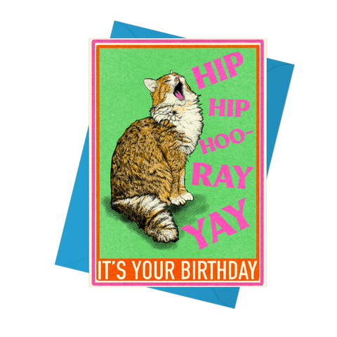 Hip Hip Hooray Cat Birthday Card by Fawn & Thistle