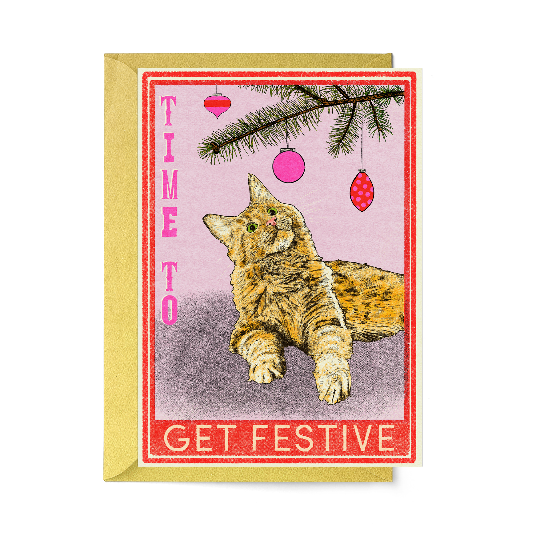 Festive cat 2025
