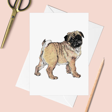 Dogs: Pug Greeting Card - Pack of 6