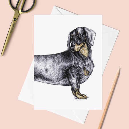 Dogs: DachshundGreeting Card - Pack of 6
