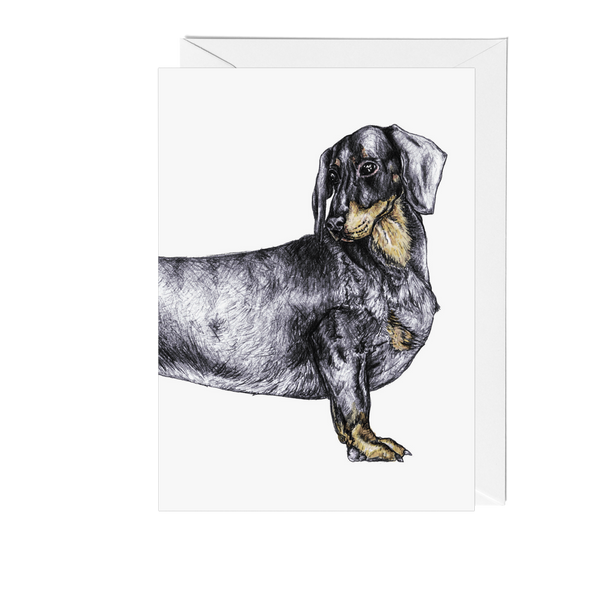 Dogs: DachshundGreeting Card - Pack of 6