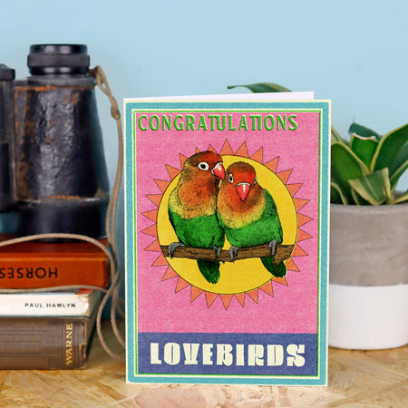 Matchbox Congratulations Lovebirds Greeting Card - Pack of 6