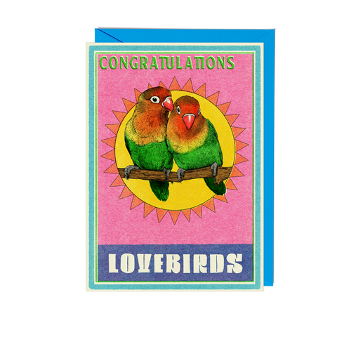 Matchbox Congratulations Lovebirds Greeting Card - Pack of 6