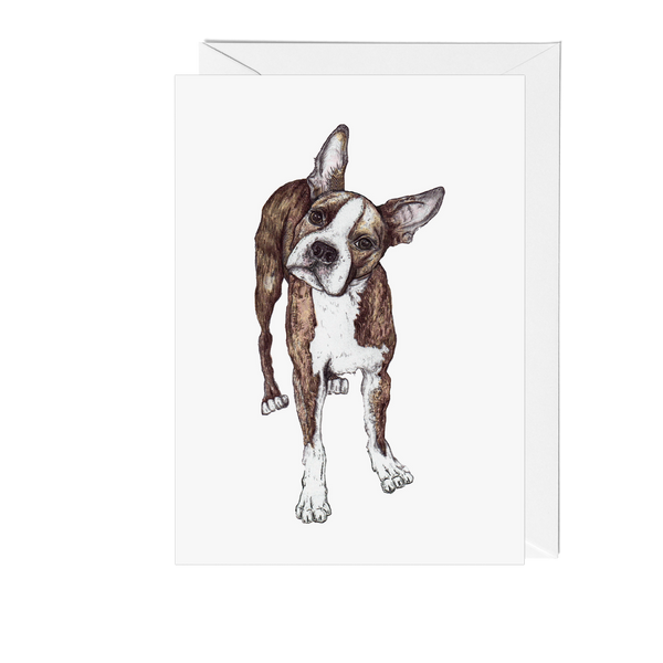 Dogs: Boston Terrier Greeting Card - Pack of 6