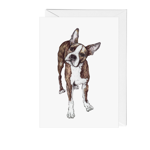Dogs: Boston Terrier Greeting Card - Pack of 6